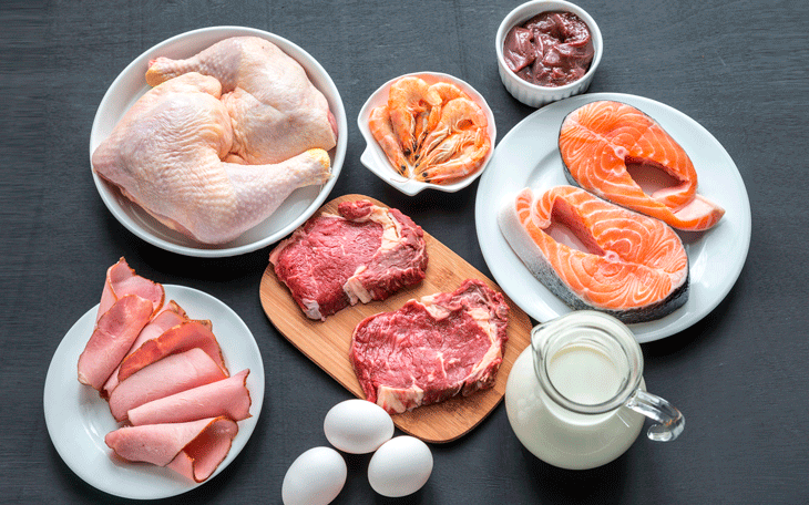 Conheça os 3 Passos Fundamentais da Dieta da Proteína